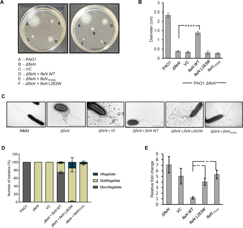 Fig. 6.