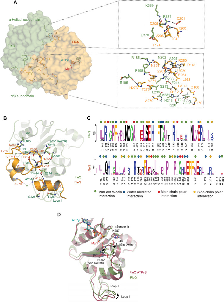 Fig. 4.