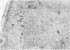 339