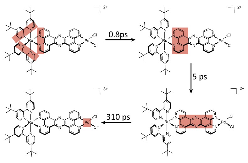 Figure 48