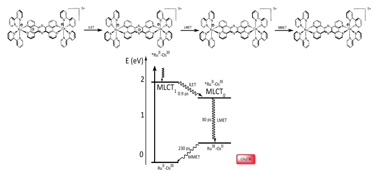 Figure 30