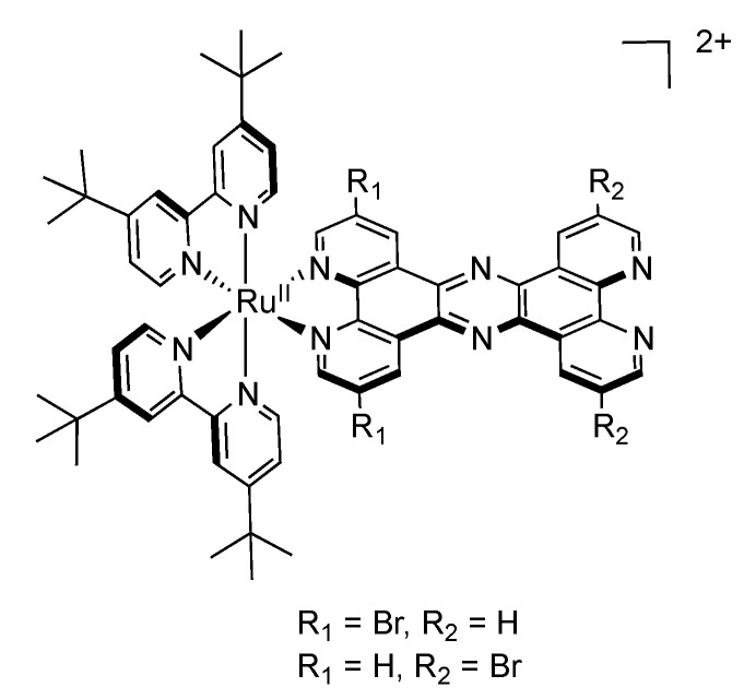 Figure 20