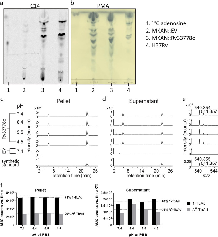 FIG 1