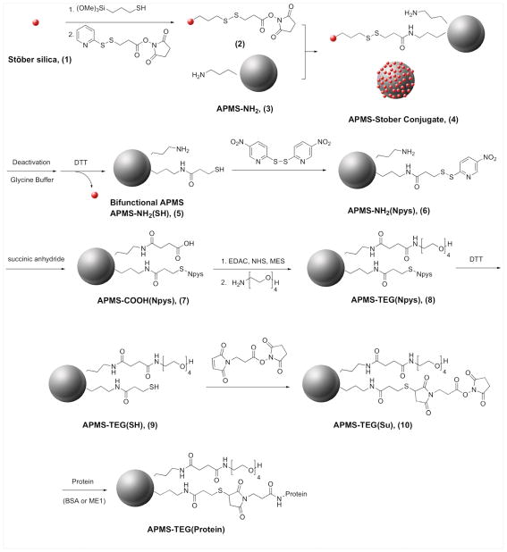 Scheme 1