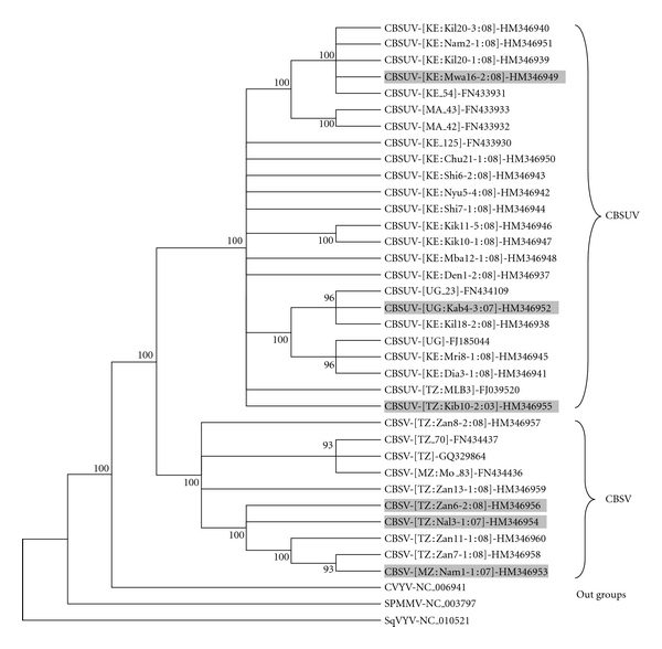 Figure 4