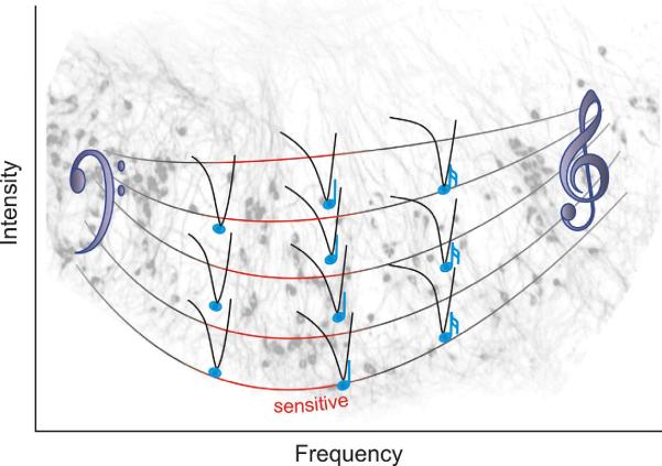 FIG. 8