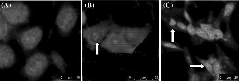 Fig. 4