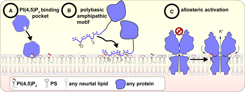 Figure 3.