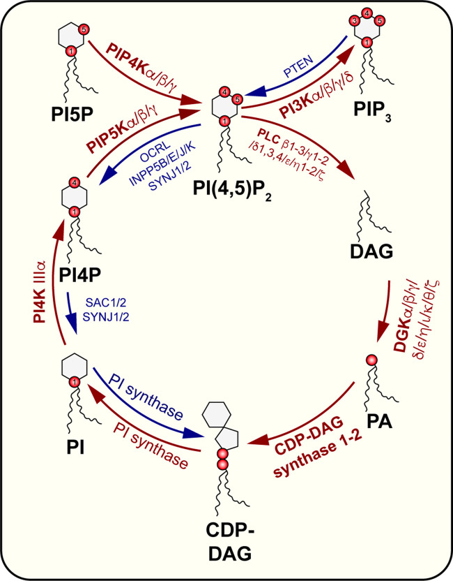 Figure 2.