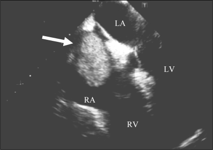 Figure 1)