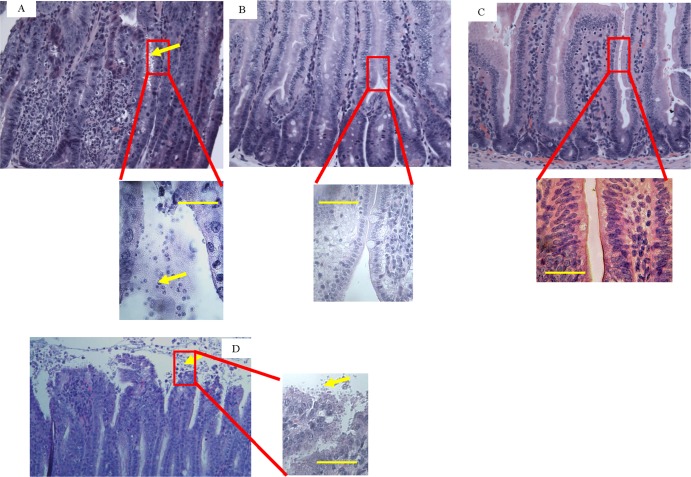 Fig 3