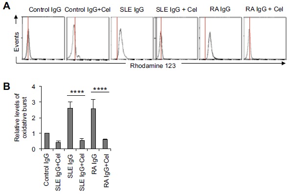 Fig. (2)