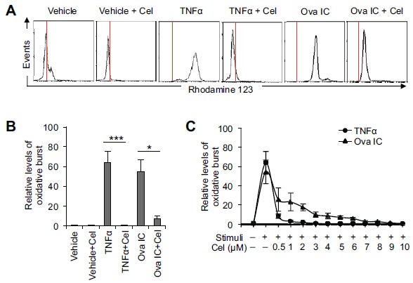 Fig. (1)