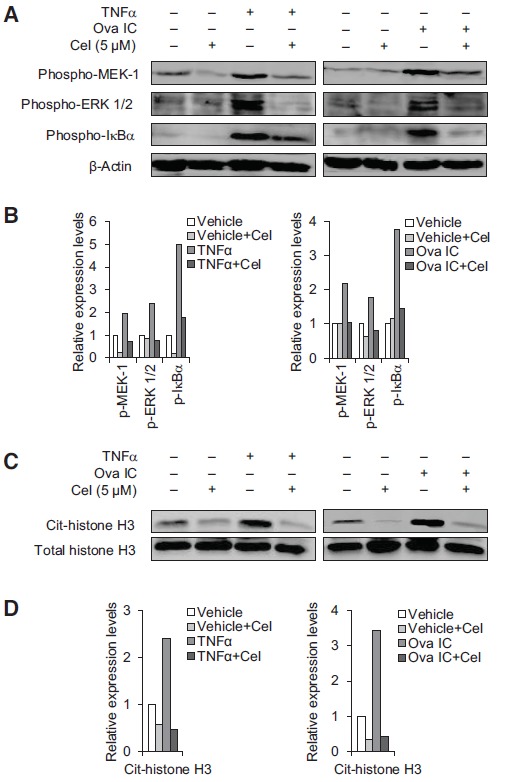 Fig. (6)