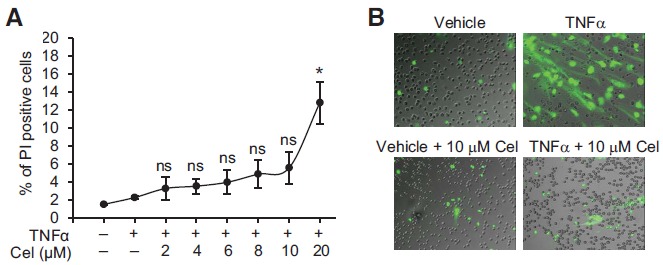 Fig. (4)