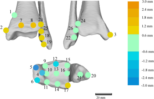 Visualization And Quantification Of The Degenerative Pattern Of The 