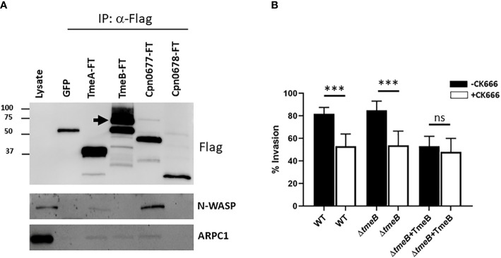 Figure 4