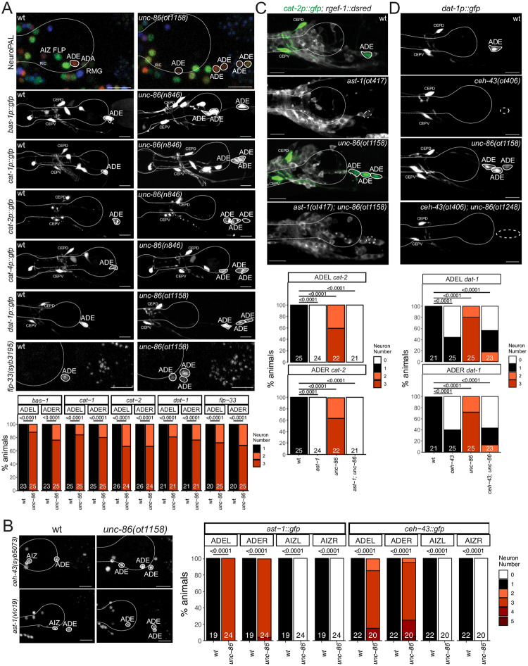 Fig 12