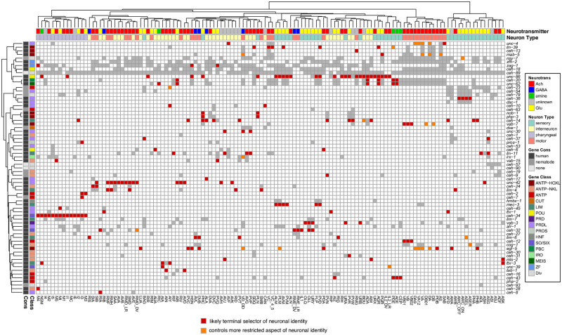 Fig 13