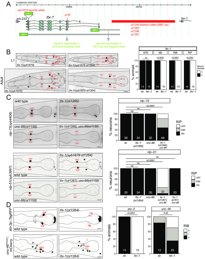 Fig 10