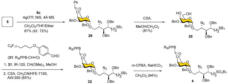 Scheme 6