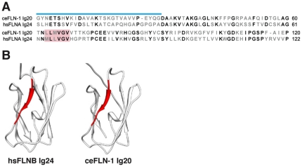 Figure 8