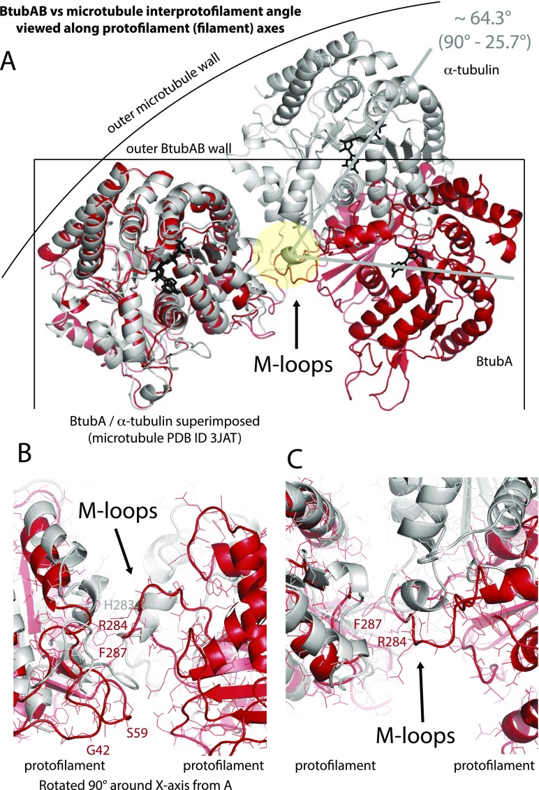 Fig. S5.