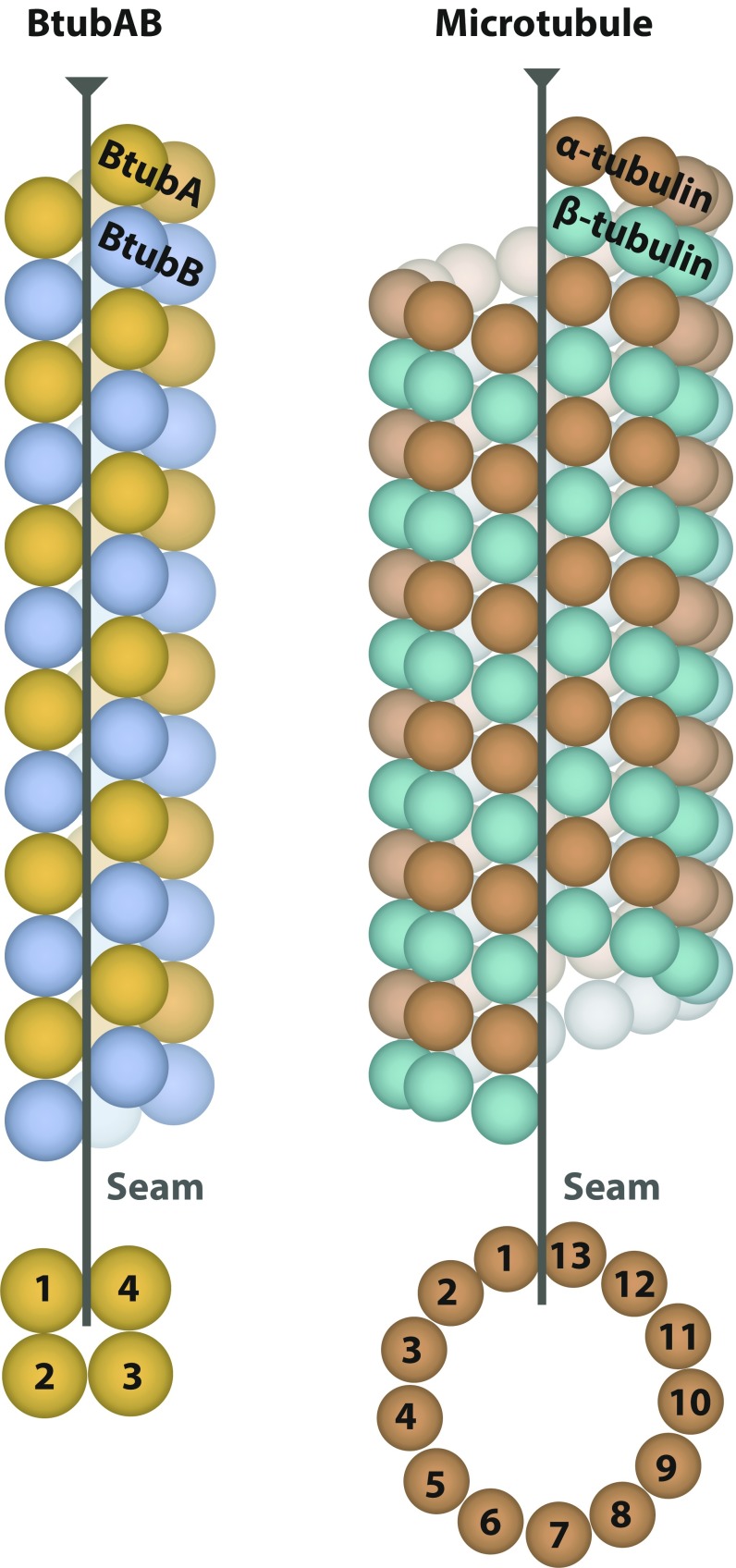 Fig. S9.