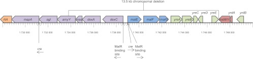 Fig 2