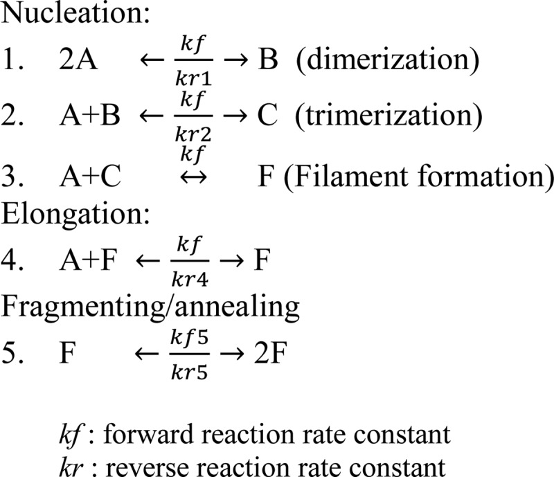 SCHEME 1.