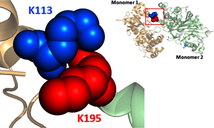 FIGURE 11.