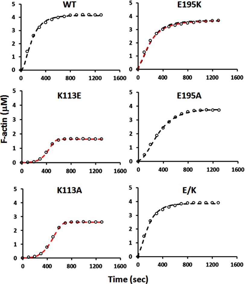 FIGURE 7.