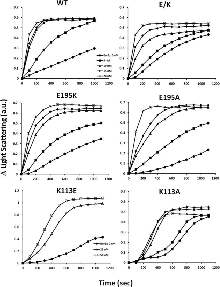 FIGURE 10.