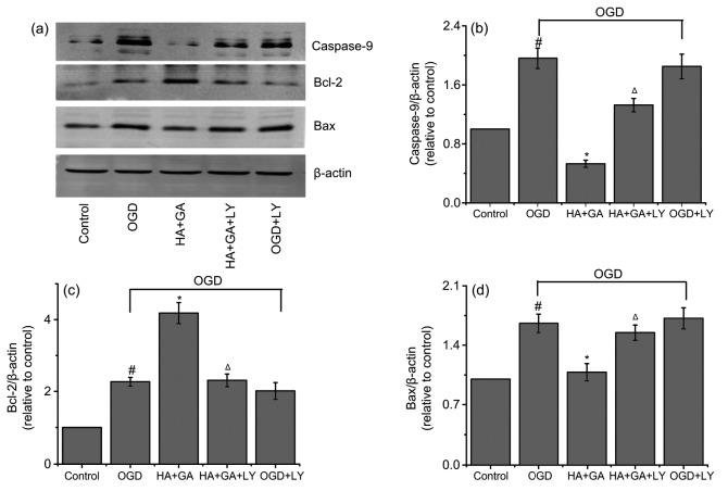 Fig. 8