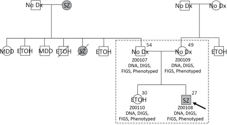 Fig. 1.