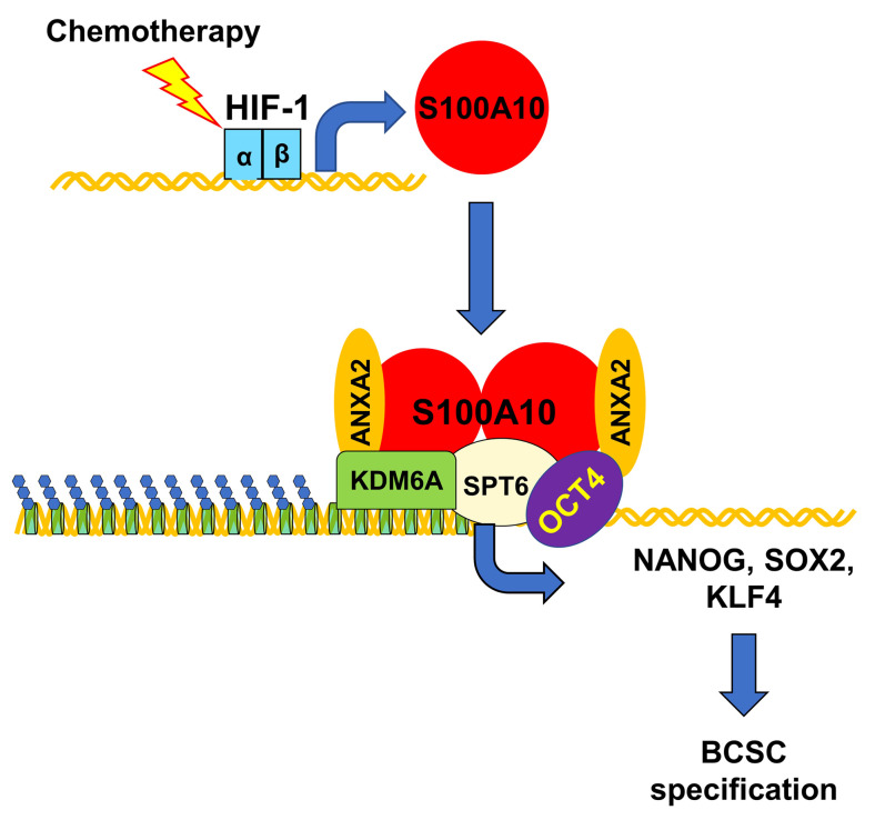 Figure 17