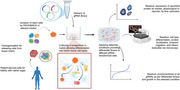 graphic file with name BOC-117-e70006-g001.jpg