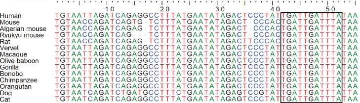 Figure 7—figure supplement 2.