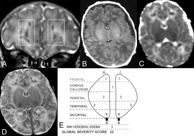 Fig 3.