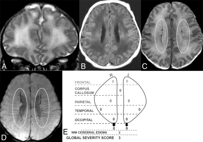 Fig 1.