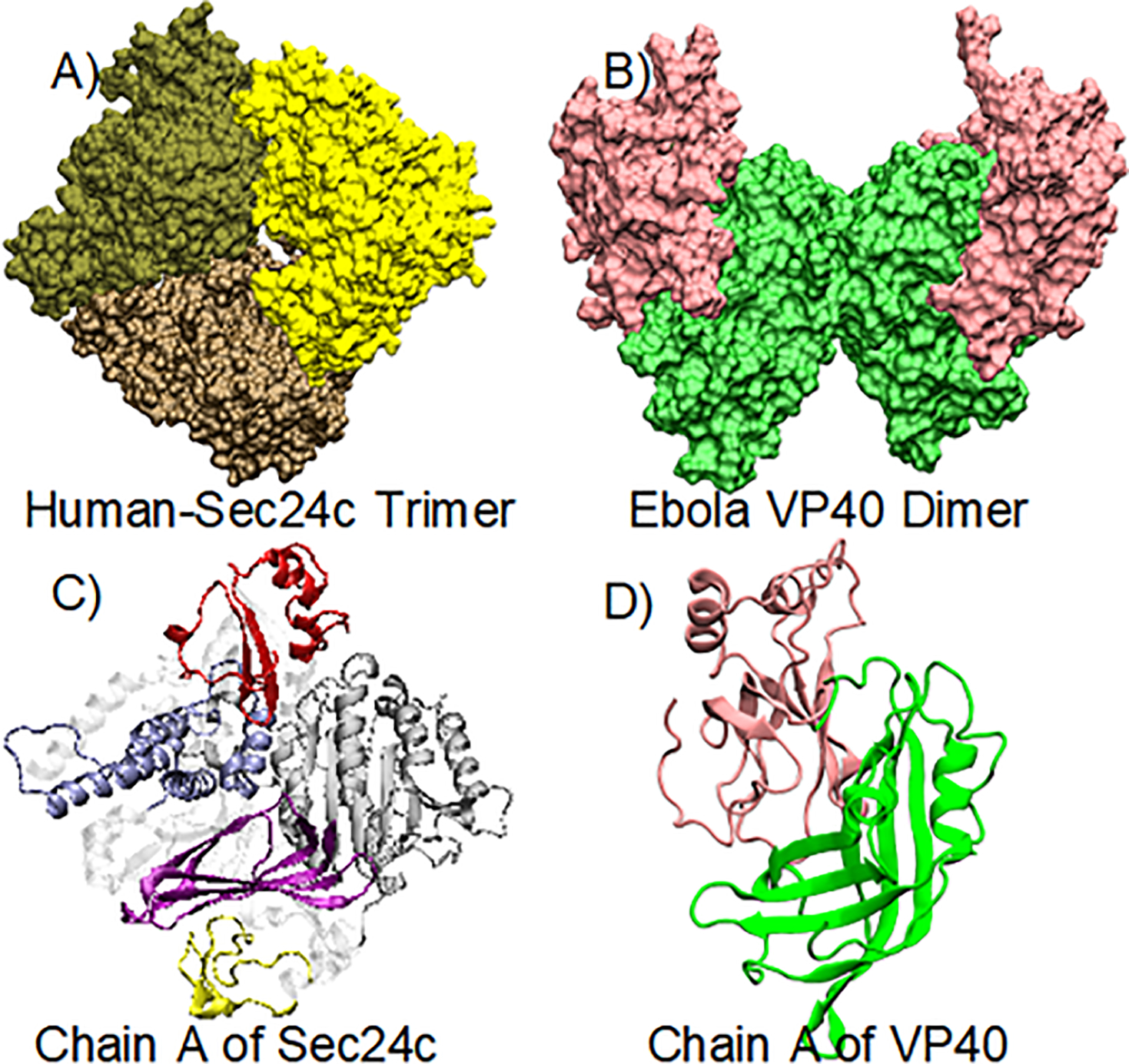 Figure 1.