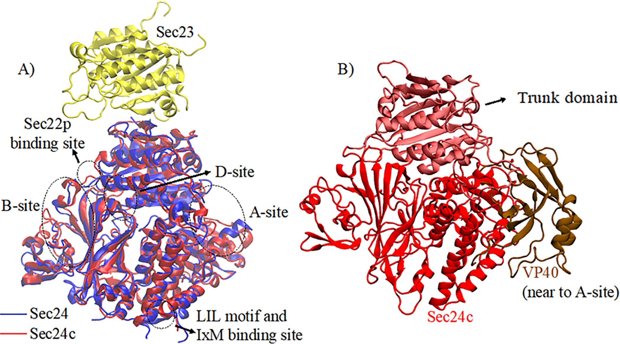 Figure 2.