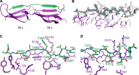 FIGURE 4.