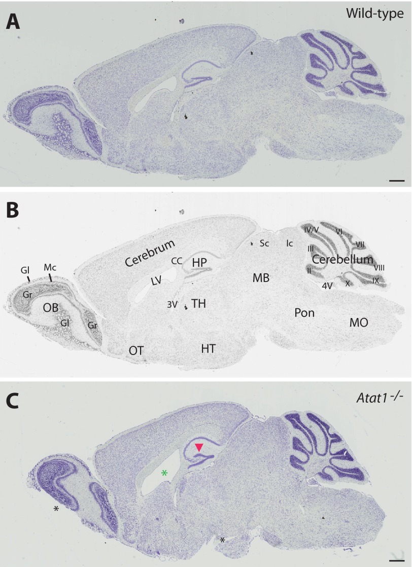 FIGURE 7.