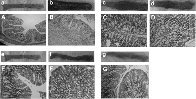 FIG. 5.