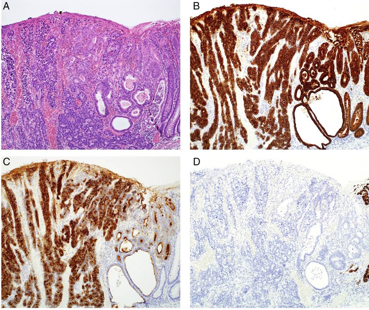 Figure 4