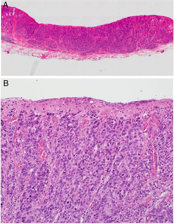 Figure 3