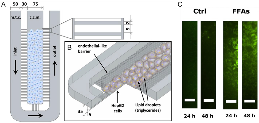 Figure 17.