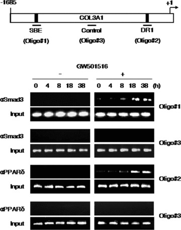 Fig 8