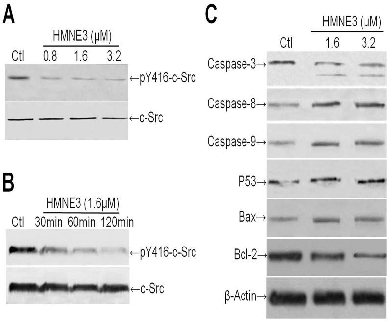 Fig 10